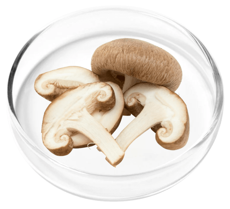 Cholecalciferol