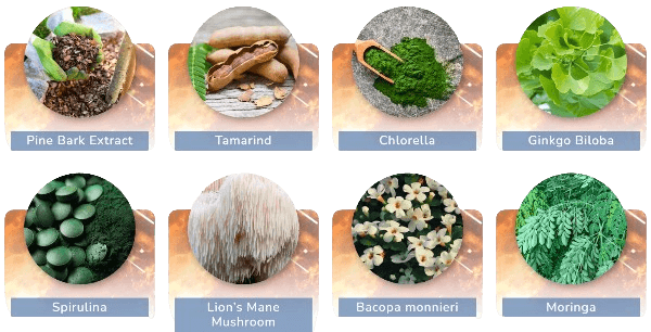 JointVive Ingredients