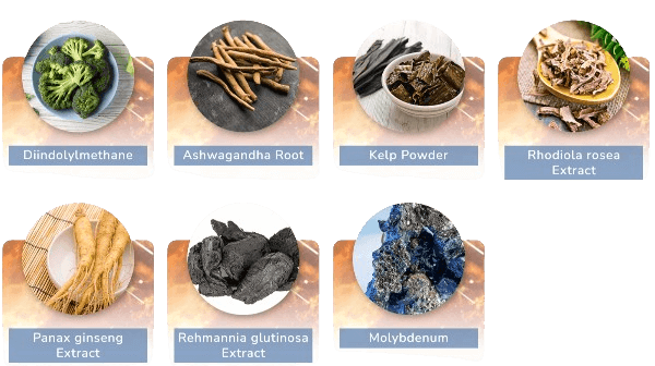 MitoCode ingredients
