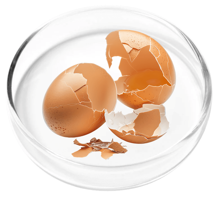 Pure Eggshell Collagen