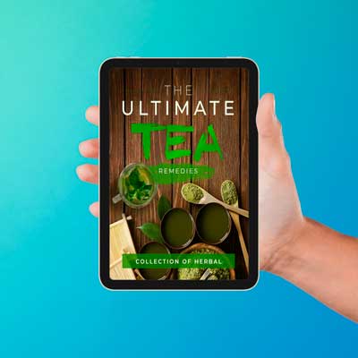 NeuroQuiet - Ultimate Tea Remedies